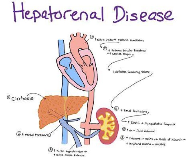 What is hepatorenal failure?