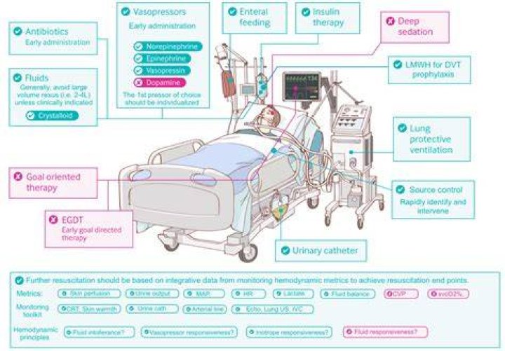 What is inotropic support in ICU?