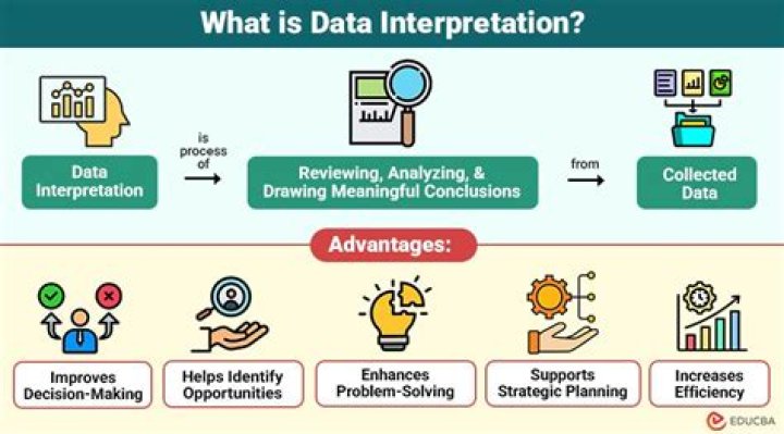 What is interpretation of data mean?