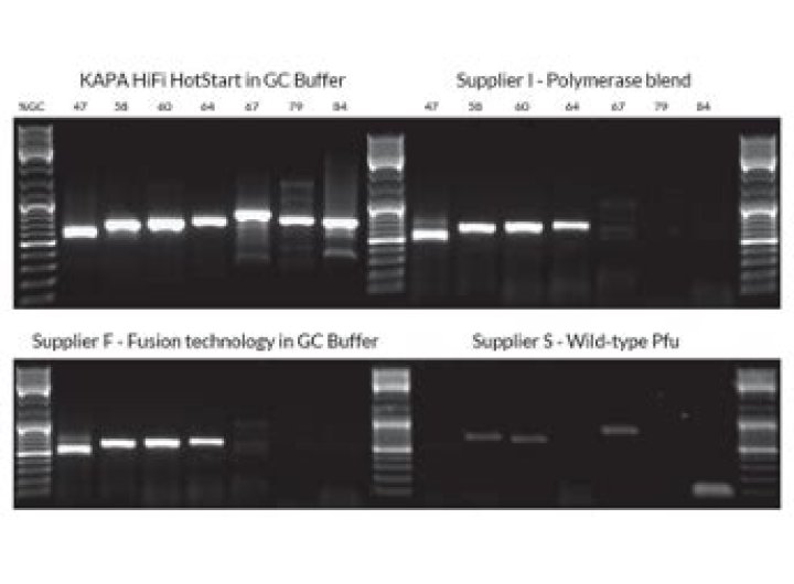 What is Kapa HiFi polymerase?