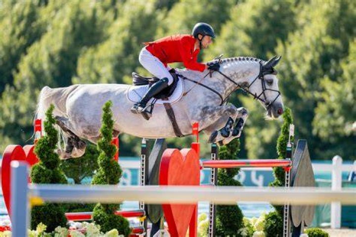 What is level 4 in horse riding?