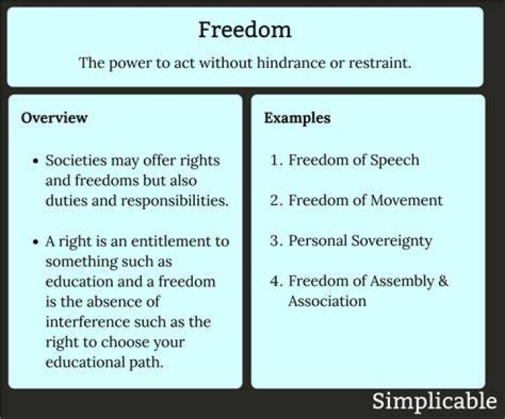What is one case that involves freedom of speech?