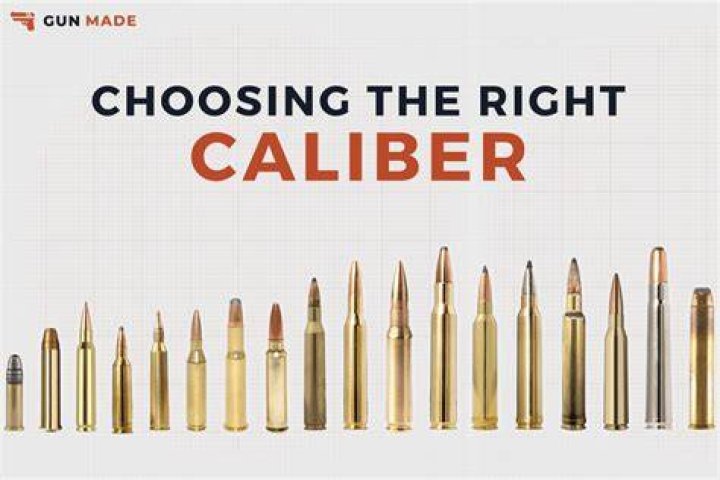 What is the best Calibre for elk?