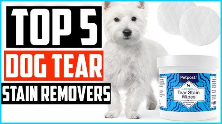 What is the best tear Stain Remover for dogs?