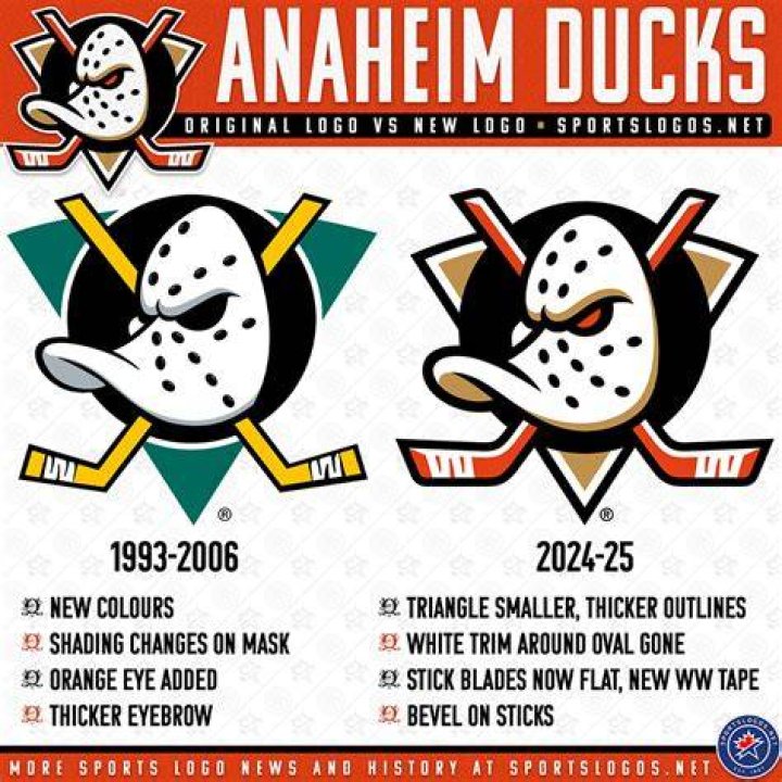 What is the Ducks logo supposed to be?