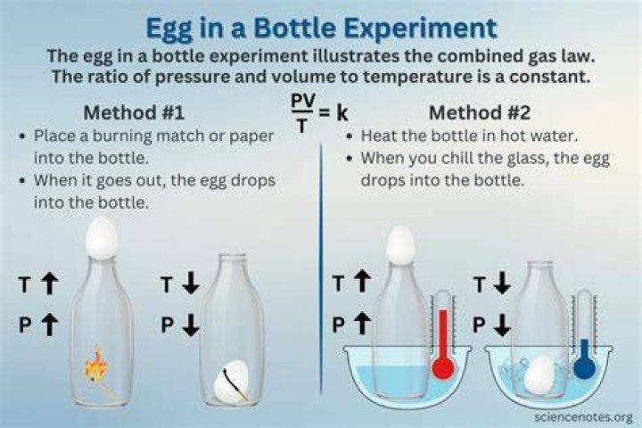 What is the experiment with egg?