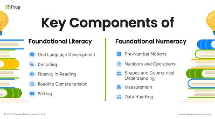 What is the literacy and numeracy framework?