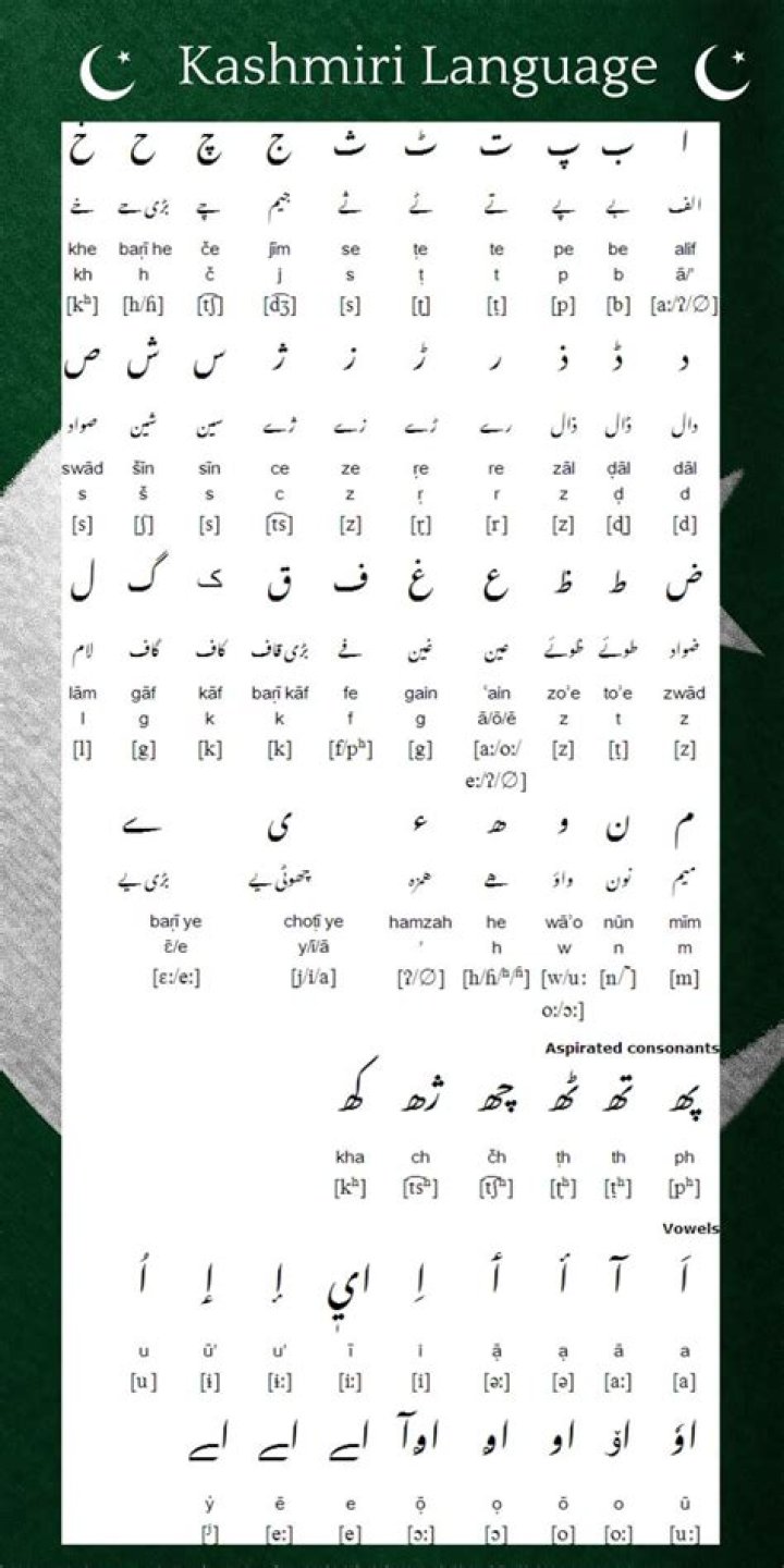 What is the main features of Kashmiri language?