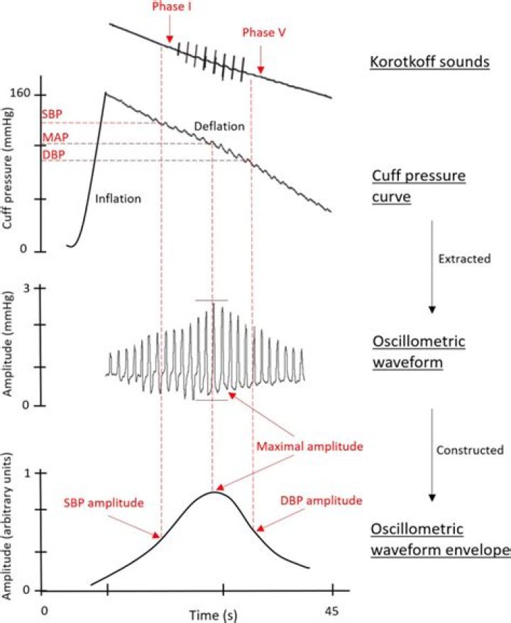 What is the oscillometric method?
