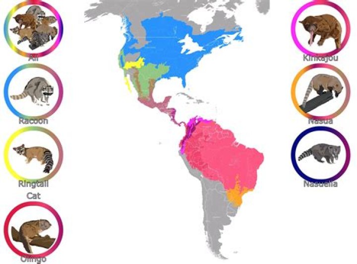 What is the population of the jaguarundi?
