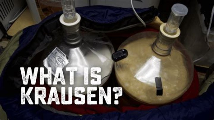 What is the purpose of Krausening beer?