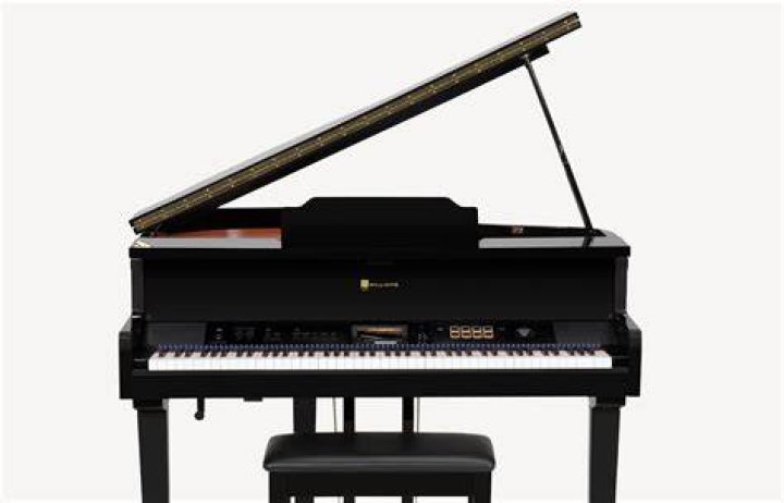 What is the rd-700nx digital piano?