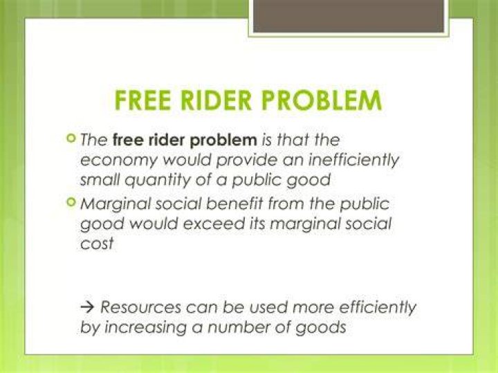 What is the second-order free rider problem?