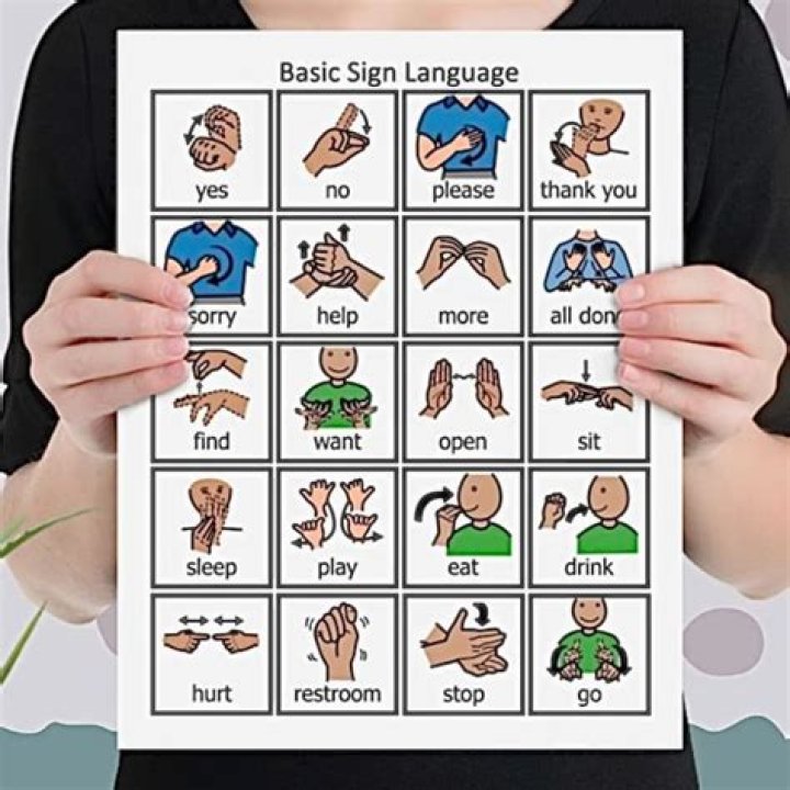 What is the sign language sign for Promise?