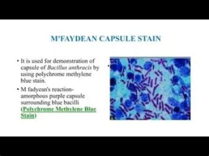 What is the use of polychrome staining?