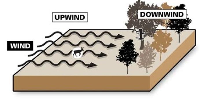 What is upwind discretization?