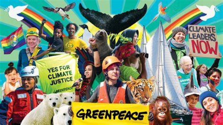 What organizations are better than PETA?