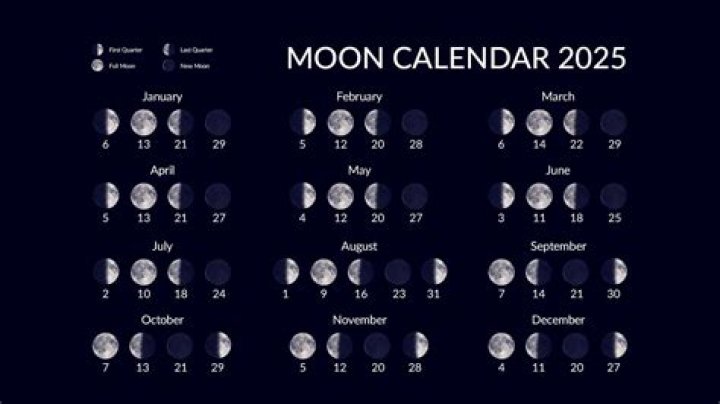 What phase of moon is best to plant potatoes?
