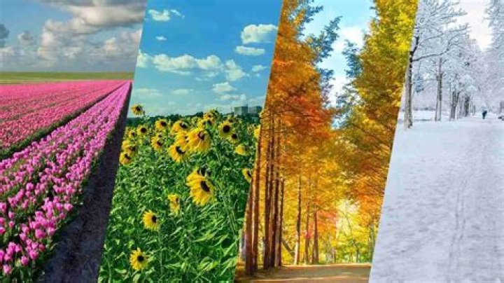 What seasons is it right now?