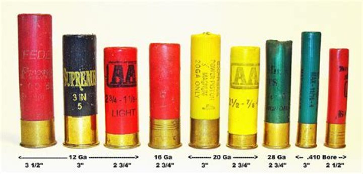 What size shells does a Remington 1187 shoot?