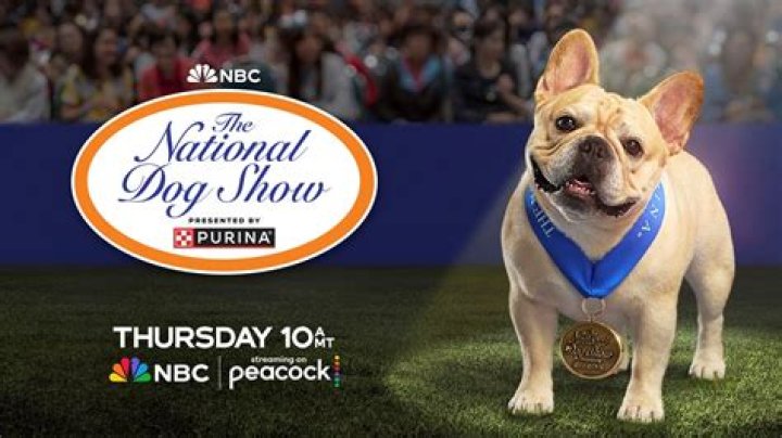 What time is the dog show on NBC today?