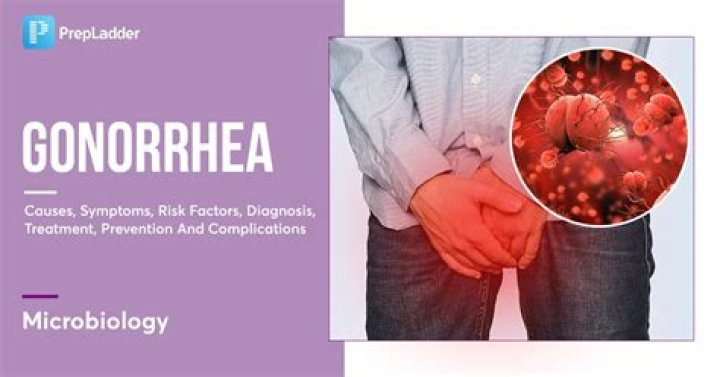What type of bacteria is gonorrhea?