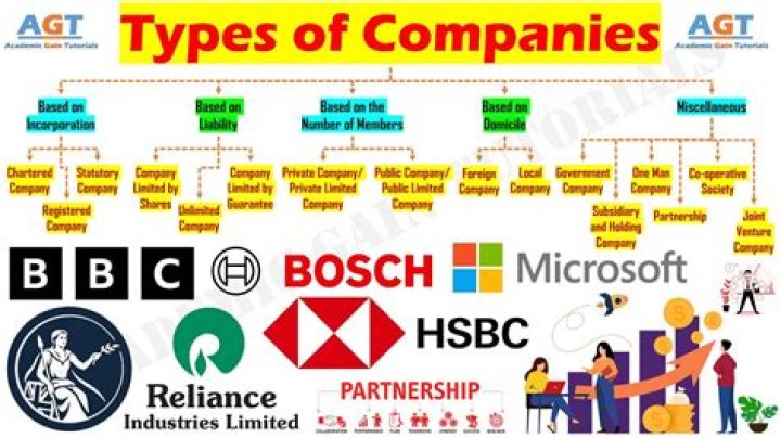 What type of company is NTT?