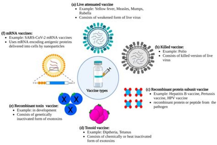 What type of vaccine is the Janssen vaccine?