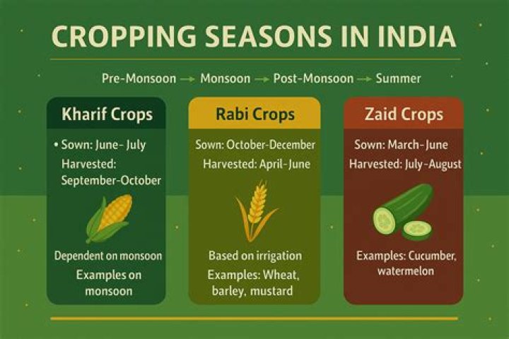 Which crops are grown in kharif season?