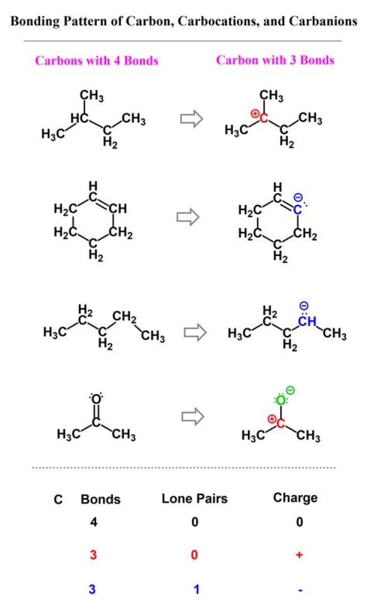 Which molecule has 4 carbon atoms?