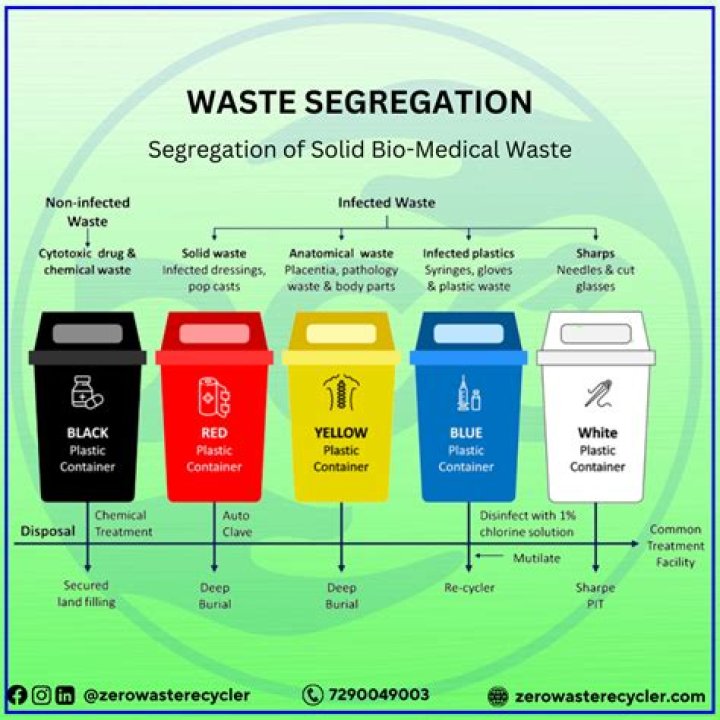Which structure stores waste before being removed from the body?