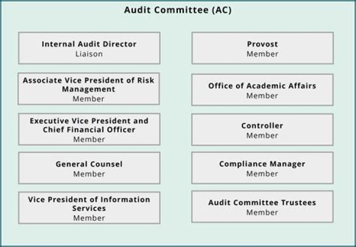 Who should be members of the audit committee?