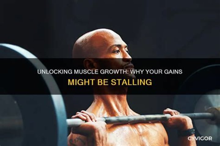 Why am I not gaining any muscle mass?