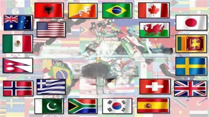 Why are Disney flags fake?