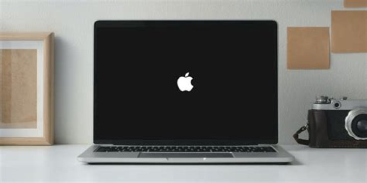 Why does my MacBook get stuck on Apple logo?