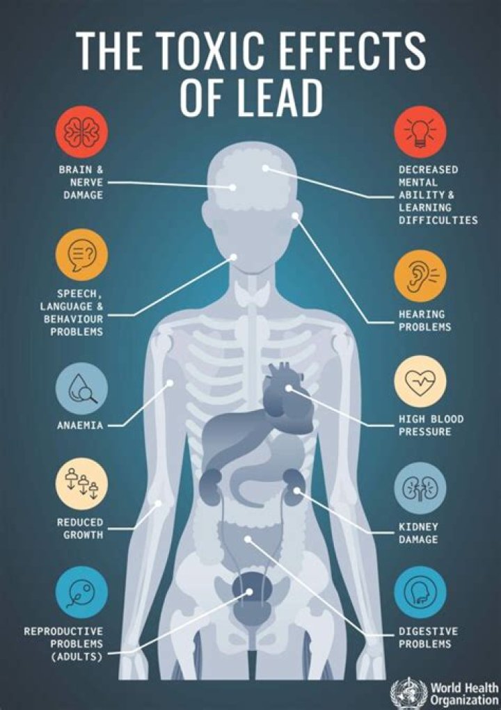 Why is lead toxic to the body?