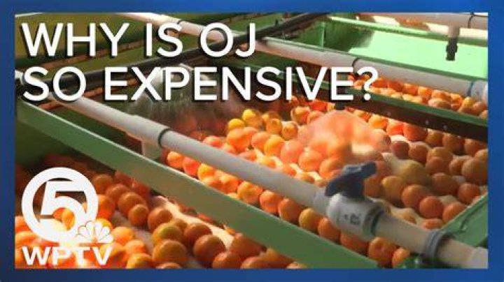 Why is Sumo orange so expensive?